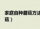 家庭自种蘑菇方法（4个步骤种植出美味的蘑菇）
