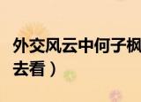 外交风云中何子枫原形是谁（喜欢的朋友可以去看）