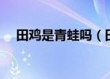 田鸡是青蛙吗（田鸡和青蛙有什么区别）
