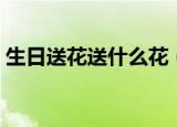 生日送花送什么花（生日适合送什么花好呢）