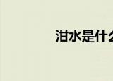 泔水是什么（泔水的意思）