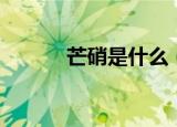 芒硝是什么（关于芒硝的简介）