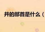井的部首是什么（井的部首是什么偏旁呢）