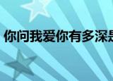 你问我爱你有多深是什么歌（完整歌词介绍）