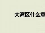 大湾区什么意思（什么是大湾区）