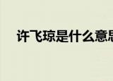 许飞琼是什么意思（许飞琼是何种意思）