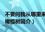 不要问我从哪里来我的故乡在远方是什么歌（橄榄树简介）