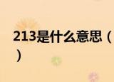 213是什么意思（网络语言的213是什么意思）