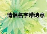 情侣名字带诗意（带诗意情侣网名精选）