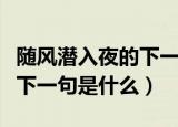 随风潜入夜的下一句是什么（诗句随风潜入夜下一句是什么）