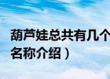 葫芦娃总共有几个分别叫什么（关于葫芦娃的名称介绍）