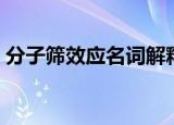 分子筛效应名词解释（分子筛效应概念简介）