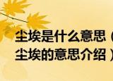 尘埃是什么意思（尘埃是灰尘的意思吗 关于尘埃的意思介绍）