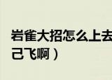 岩雀大招怎么上去（岩雀大招怎么放才能带自己飞啊）