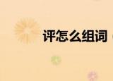评怎么组词（汉字评怎么组词）