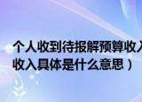 个人收到待报解预算收入是什么意思（个人收到待报解预算收入具体是什么意思）