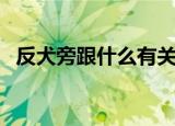 反犬旁跟什么有关（反犬旁与什么有关系）