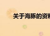 关于海豚的资料（有关海豚的简介）