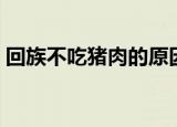 回族不吃猪肉的原因（回族为什么不吃猪肉）