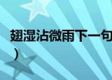 翅湿沾微雨下一句（翅湿沾微雨的原文及翻译）