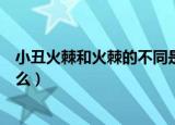 小丑火棘和火棘的不同是什么（小丑火棘和火棘的不同有什么）