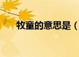 牧童的意思是（牧童的意思是是什么）