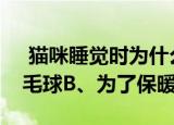  猫咪睡觉时为什么把身体蜷成团 A、伪装成毛球B、为了保暖