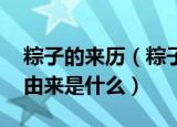 粽子的来历（粽子的由来 粽子的来历粽子的由来是什么）