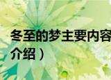 冬至的梦主要内容是什么（冬至的梦主要内容介绍）
