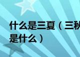 什么是三夏（三秋三抢是什么 三夏 三秋三抢是什么）