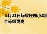  9月21日蚂蚁庄园小鸡问题：无公害蔬菜和绿色蔬菜哪个安全等级更高