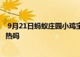  9月21日蚂蚁庄园小鸡宝宝问题 萤火虫在发光的同时也在发热吗