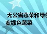  无公害蔬菜和绿色蔬菜哪个安全等级更高 答案绿色蔬菜