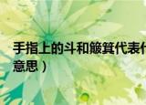 手指上的斗和簸箕代表什么意思（手指上的斗和簸箕代表啥意思）