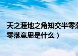 天之涯地之角知交半零落是什么意思（天之涯地之角知交半零落意思是什么）