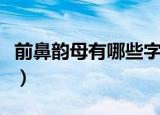 前鼻韵母有哪些字母（前鼻音韵母有哪些字母）