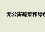  无公害蔬菜和绿色蔬菜哪个安全等级更高