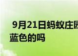  9月21日蚂蚁庄园小鸡宝宝问题 蓝宝石都是蓝色的吗