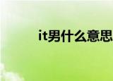 it男什么意思（IT又是什么意思）