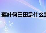 莲叶何田田是什么意思（莲叶何田田的意思）