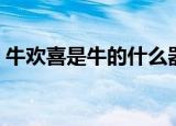 牛欢喜是牛的什么器官（牛欢喜是什么部位）