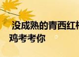  没成熟的青西红柿能吃吗 支付宝蚂蚁庄园小鸡考考你