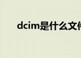 dcim是什么文件（dcim文件的解释）