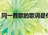 同一首歌的歌词是什么（同一首歌歌曲介绍）