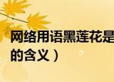 网络用语黑莲花是什么意思（网络用语黑莲花的含义）