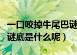 一口咬掉牛尾巴谜底是什么（一口咬掉牛尾巴谜底是什么呢）