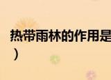 热带雨林的作用是什么（热带雨林有什么好处）