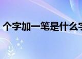 个字加一笔是什么字（个字加一笔是哪个字）