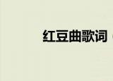 红豆曲歌词（红豆曲歌曲介绍）