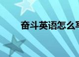 奋斗英语怎么写（奋斗英语的写法）